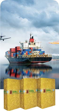 Dịch vụ logistics và hỗ trợ xuất nhập khẩu