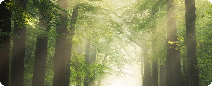 Midland Rubber vừa triển khai dự án