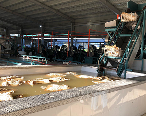 Hợp tác quốc tế bền chặt và cam kết của MidLand